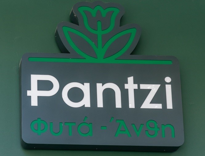 pantzi22.jpg