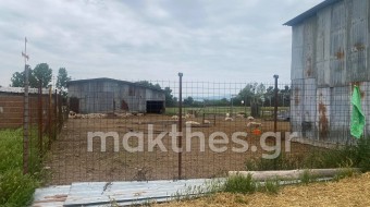 Φονικό στο Κιλκίς: Κτηνοτρόφος σκότωσε με καραμπίνα επίδοξο διαρρήκτη - Δείτε φωτογραφίες