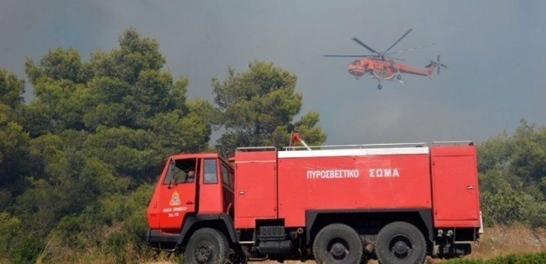 Κοζάνη: Φωτιά σε δασική περιοχή στο Βέρμιο - Στη μάχη και ελικόπτερο (βίντεο)