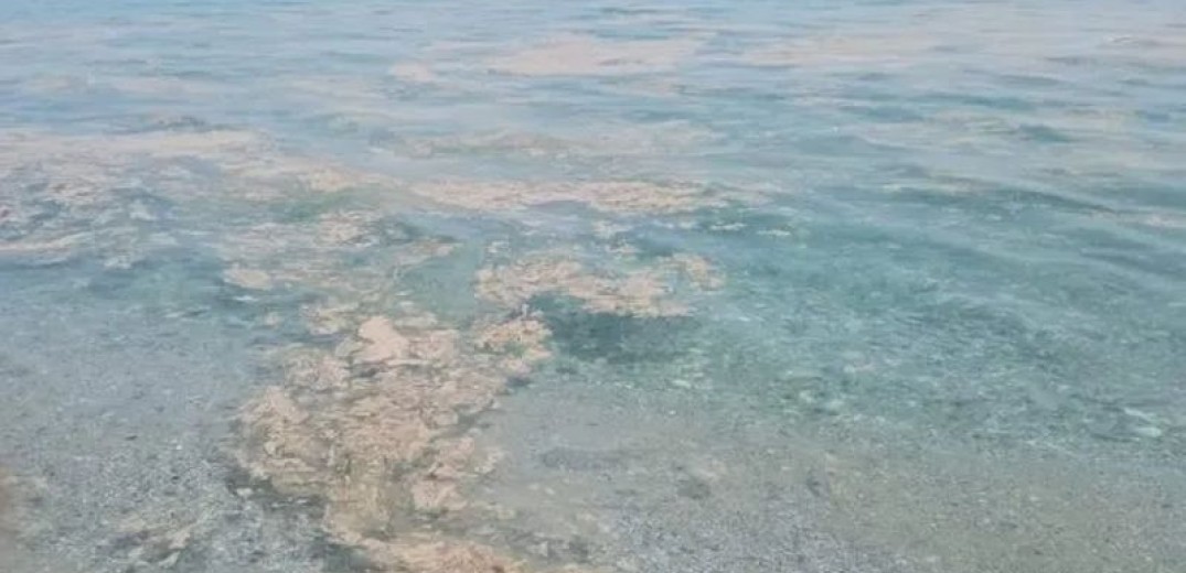 Κατερίνη: Ποινική δίωξη στον πρώην πρόεδρο της ΔΕΥΑΚ για ρύπανση της θάλασσας από το βιολογικό (βίντεο)