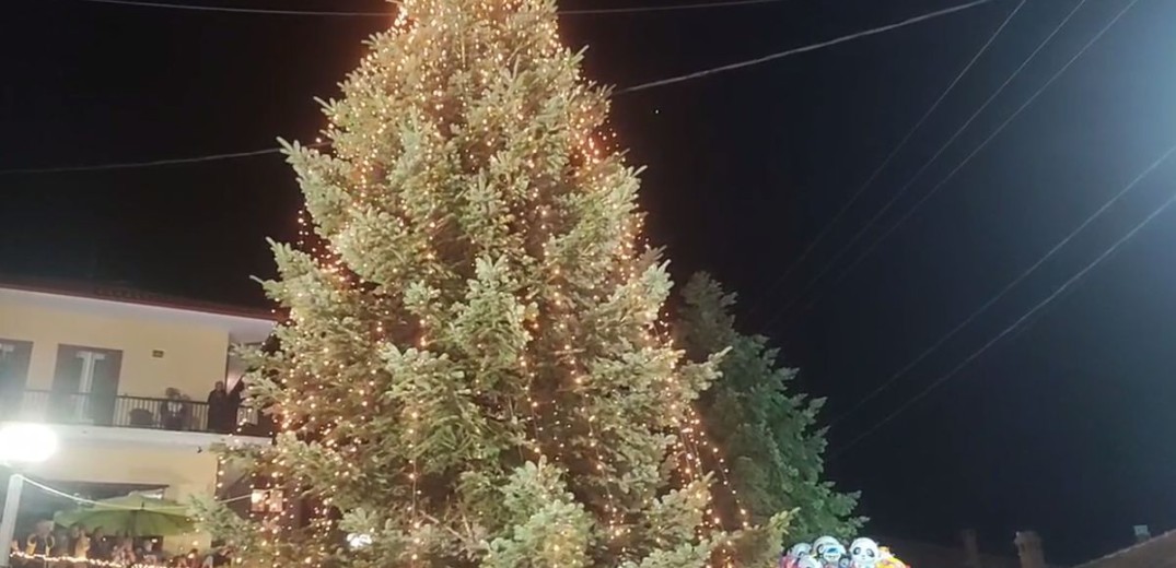 Χαλκιδική: Φωταγωγήθηκε το πρώτο χριστουγεννιάτικο δέντρο στον Ταξιάρχη, με 90.000 λαμπιόνια (βίντεο)