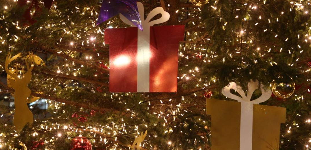 Πέλλα: Άναψε το χριστουγεννιάτικο δέντρο στα Γιαννιτσά (βίντεο, φωτ.)