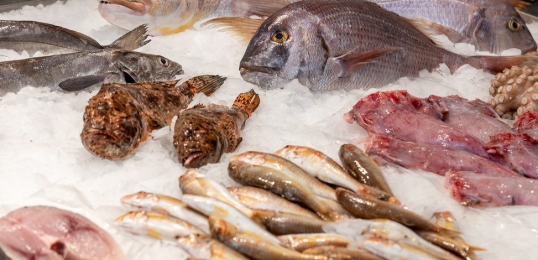 Fish Fish: Ολόφρεσκα ψάρια και θαλασσινά, νωπά ή μαγειρεμένα