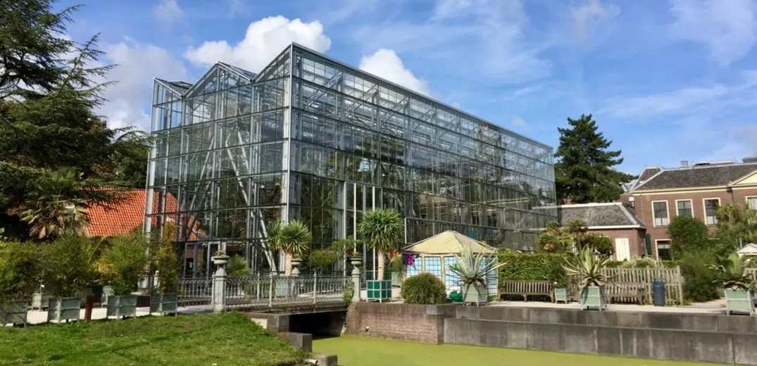 visit-leiden-botanical-garden-greenhouses-green-with-purpose.jpg