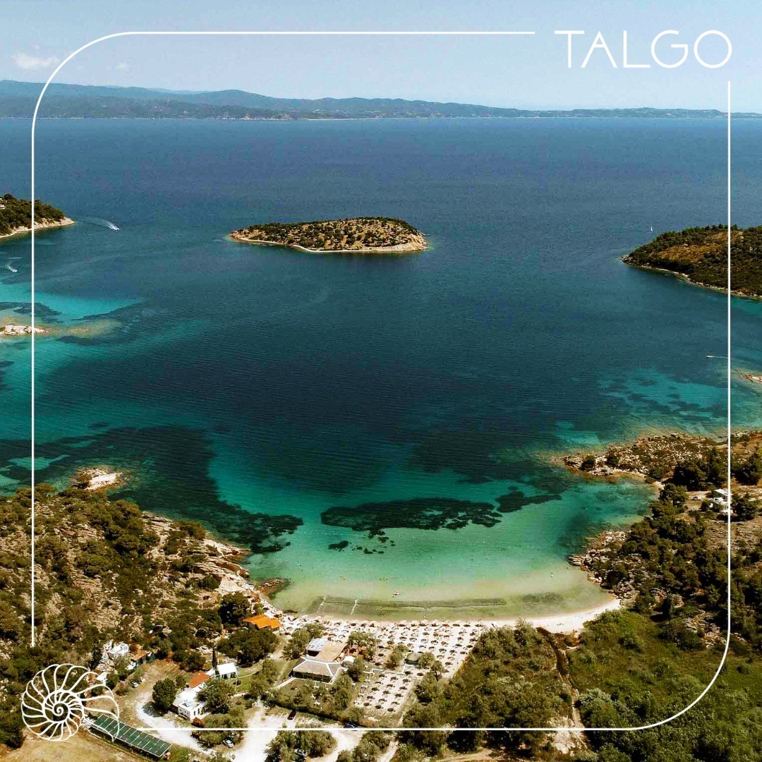 talgo-beach-bar2.jpg