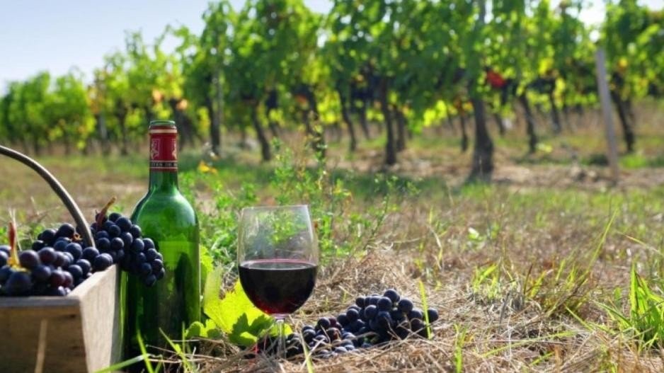 Blocus à … des vins macédoniens contrefaits