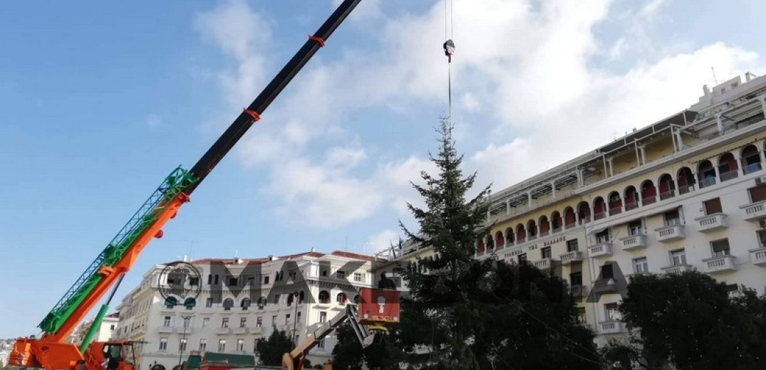 Γέμισε με χριστουγεννιάτικα δέντρα η πλατεία Αριστοτέλους (photos) 