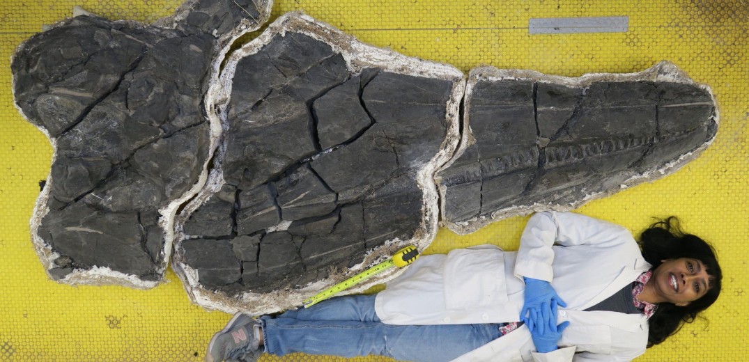 Απολιθωμένο κρανίο τεράστιου θαλάσσιου τέρατος, ηλικίας 246 εκατομμυρίων χρόνων&#33;