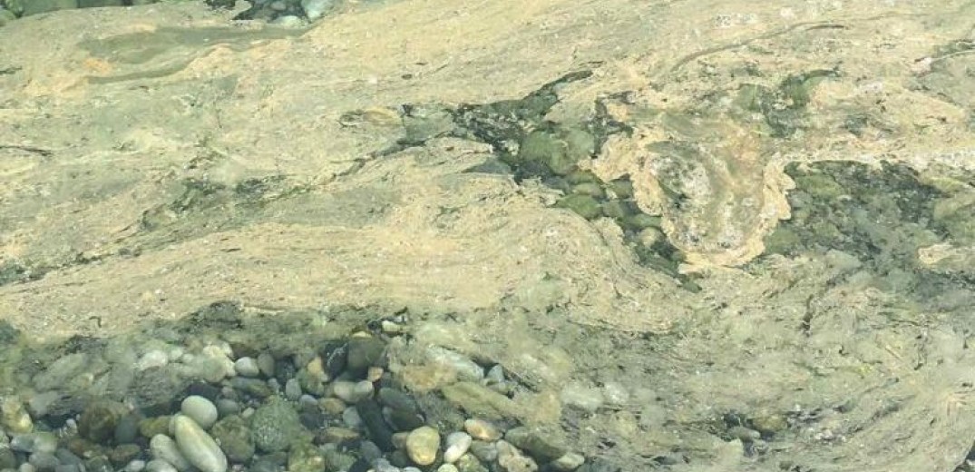 Πιερία-Εικόνες σοκ: 10.000 κυβικά λύματα βιολογικού στη θάλασσα της Λεπτοκαρυάς λόγω διακοπής ρεύματος