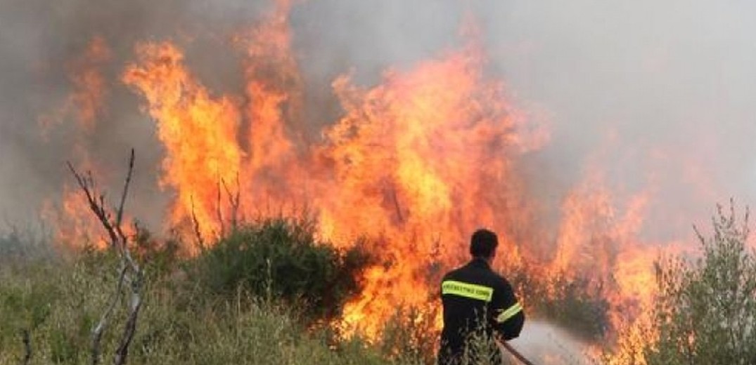 Αμαλιάδα: Ενισχύθηκαν κι άλλο οι πυροσβεστικές δυνάμεις στην περιοχή Άγναντα - Τραυματίστηκε ένας ακόμη πυροσβέστης