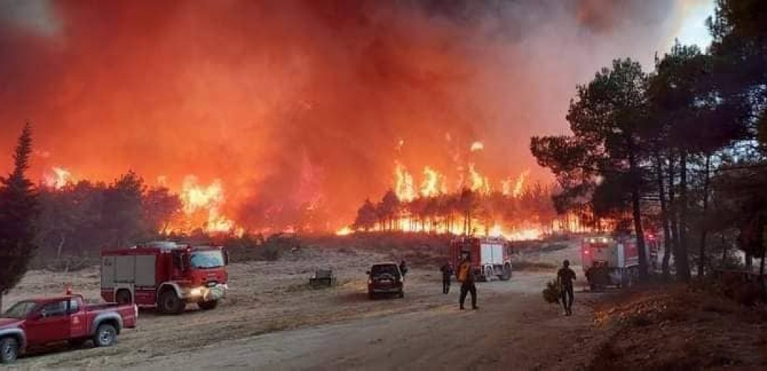 Δαδιά: Τιτάνια μάχη με τις φλόγες ενώ ξεκίνησε να βρέχει  - Δεν κινδυνεύει το χωριό - Σώθηκαν τα οικοσυστήματα (βίντεο)