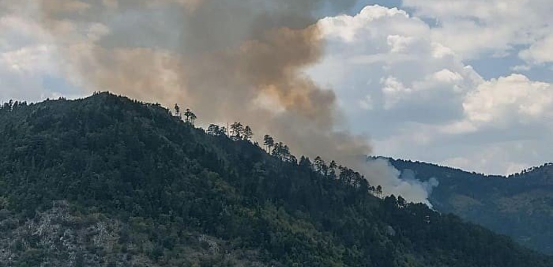 Φωτιά σε δασική έκταση στον Αμάραντο Κόνιτσας