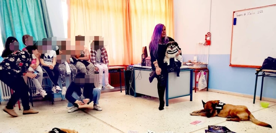 Θεσσαλονίκη: Πρώην αδέσποτοι σκύλοι μπαίνουν στα σχολεία και διδάσκουν στους μαθητές την αληθινή αγάπη