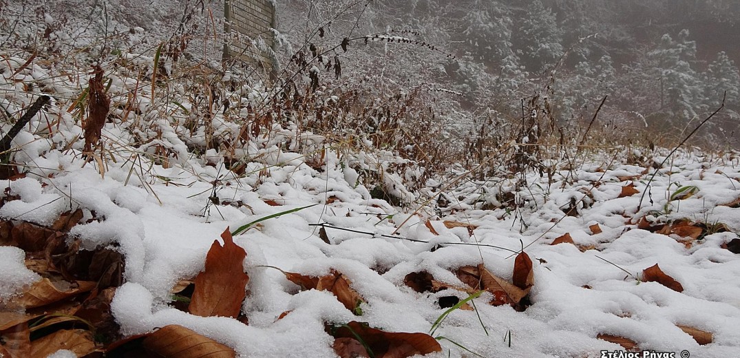 Χαλκιδική: Μαγευτικές εικόνες από τη χιονόπτωση στον Χολωμόντα (φωτ.)