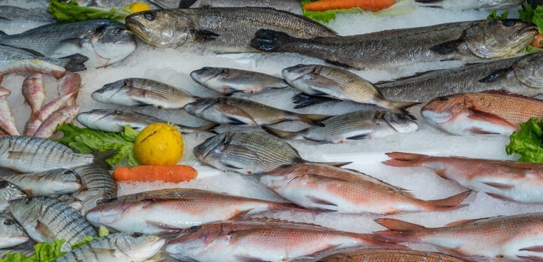 Ιχθυοπωλείο Καπετάνιος στην Ευκαρπία: Τα πιο φρέσκα ψάρια και θαλασσινά στο τραπέζι μας