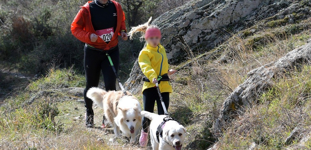 Θέρμη: Τρέξε μαζί με το σκύλο σου στη λίμνη Τριαδίου