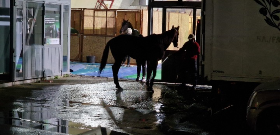 Βγαίνουν τα άλογα στους δρόμους της Θεσσαλονίκης αύριο το πρωί