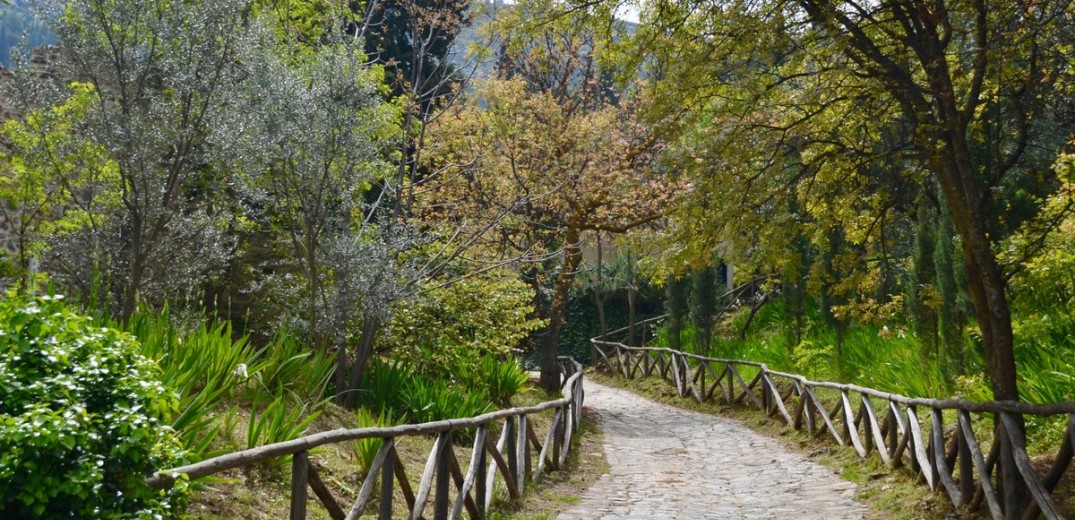Θεσσαλονίκη: Μια «γιγάντια» έκταση μετατρέπεται σε δάσος αναψυχής - Το Μάρτιο τα πρώτα έργα