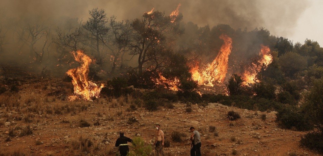 Φωτιές στον Έβρο: Έκκληση του αντιπεριφερειάρχη στους αγρότες να συνδράμουν στο έργο της κατάσβεσης