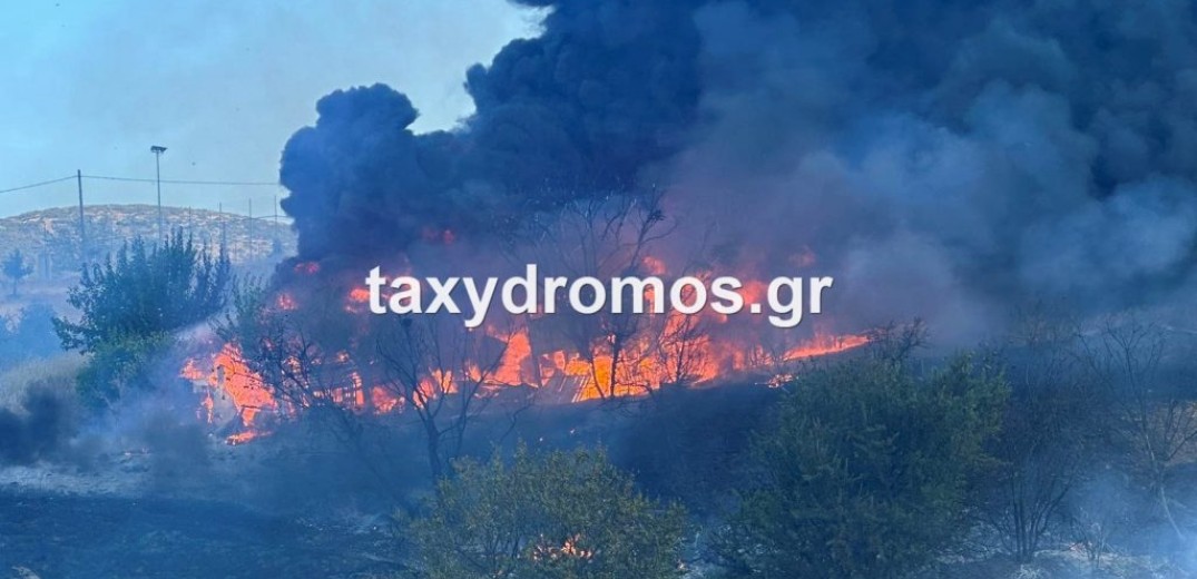 Βόλος - πυρκαγιά: Εκκενώνεται το Σέσκλο