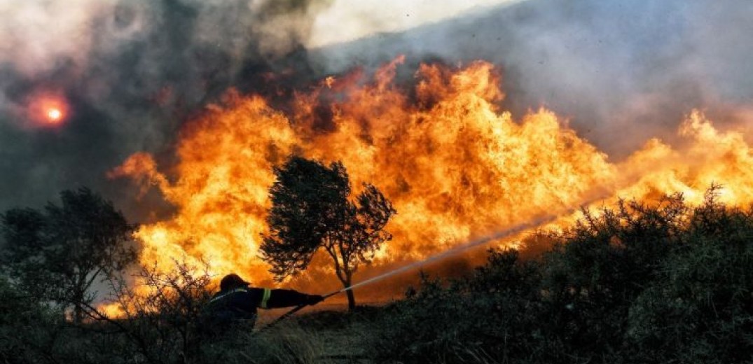 Εθνικό Παρατηρητήριο Δασικών Πυρκαγιών: Κάηκαν 1,2 εκατ. στρέμματα μόνο τον Αύγουστο