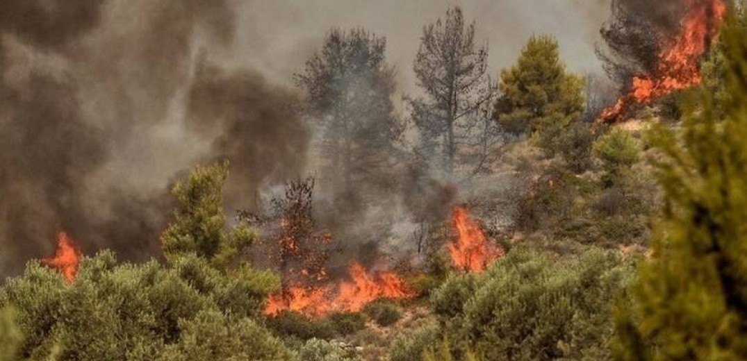 Ανησυχητικά τα στοιχεία για το καλοκαίρι - «Άνυδροι και θερμοί χειμώνες οδηγούν σε μεγάλες πυρκαγιές» (βίντεο)