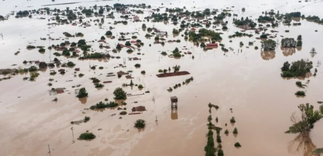 Θεσσαλία: Απώλειες σε χιλιάδες μελίσσια από τις καταστροφικές πλημμύρες