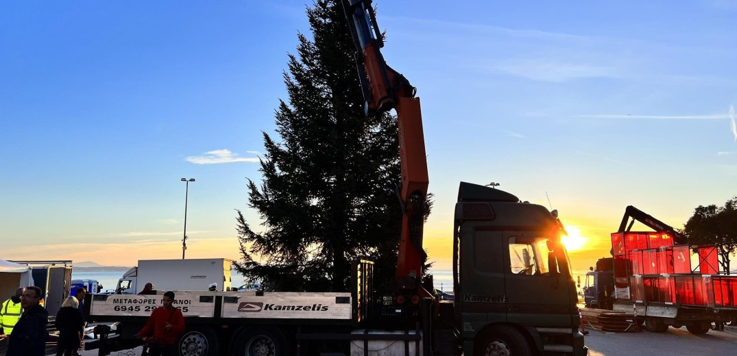 Θεσσαλονίκη: Στήθηκε το χριστουγεννιάτικο δέντρο στην πλατεία Αριστοτέλους (βίντεο, φωτ.)