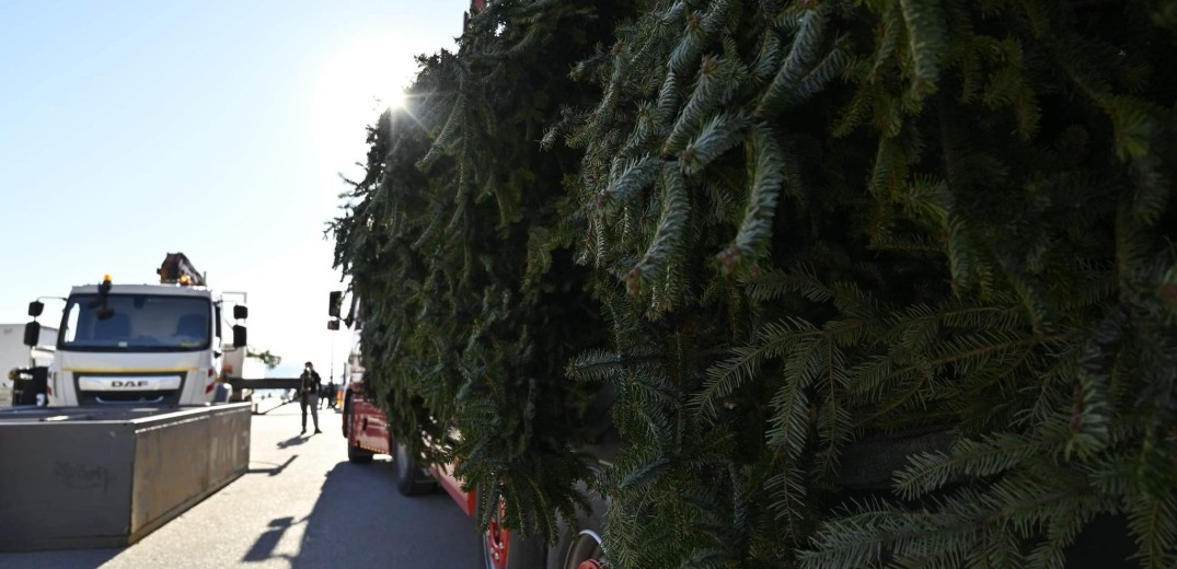 Θεσσαλονίκη: Ξεκινάει από 8 Ιανουαρίου η ανακύκλωση των χριστουγεννιάτικων δέντρων