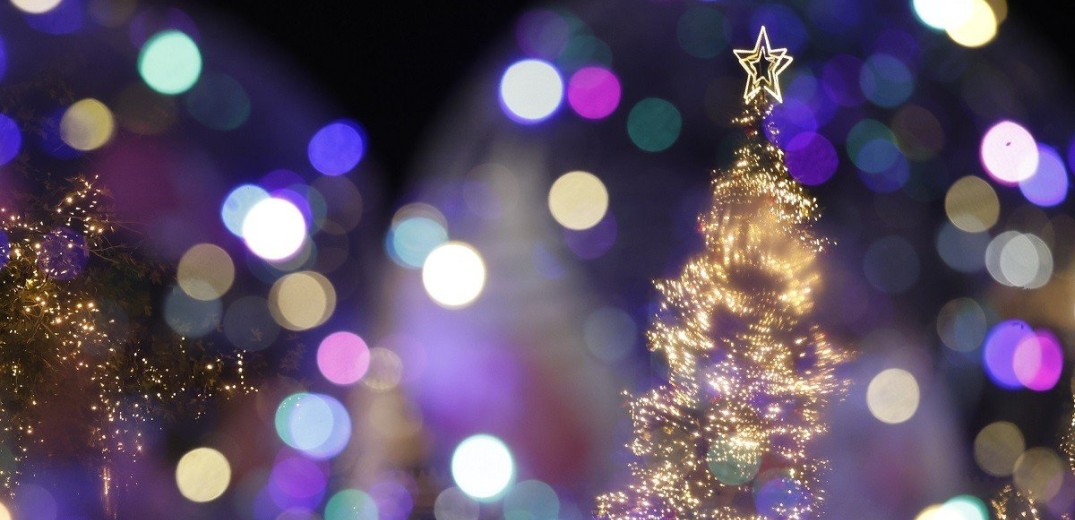 Γερμανία: Οικογένεια «τερμάτισε» το Χριστουγεννιάτικο στολισμό με 555 δέντρα στο σπίτι της (βίντεο)
