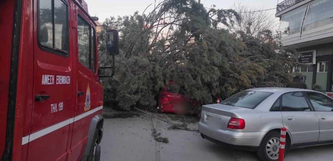 Δέντρο έπεσε πάνω σε αυτοκίνητο στις Σέρρες (βίντεο, φωτ.)
