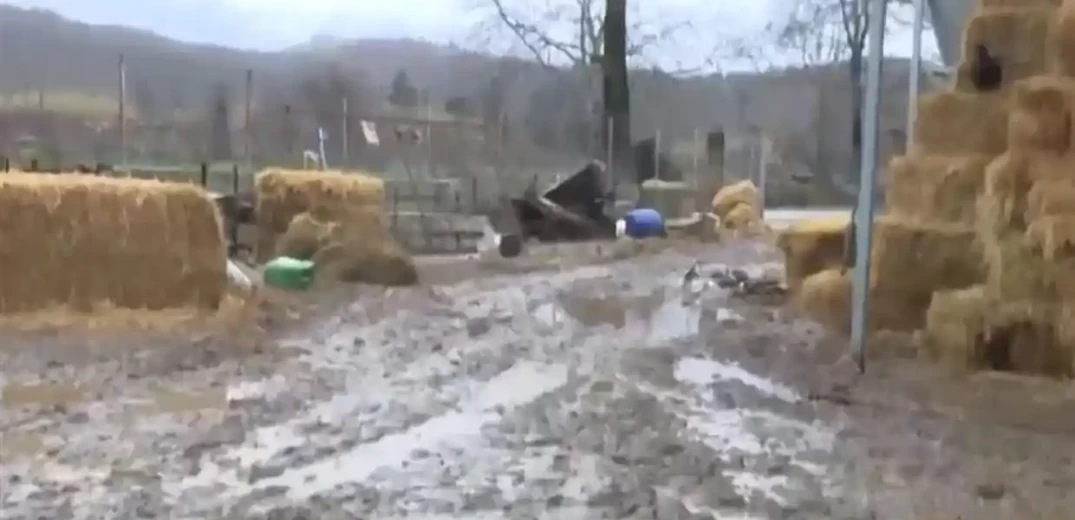 Πλημμύρισε στάβλος στην Κατερίνη: Έχασε πάνω από 300 ζώα από την κακοκαιρία (βίντεο)