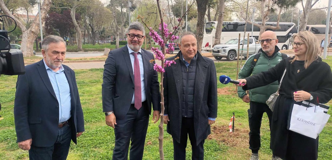 Θεσσαλονίκη: Ξεκίνησε η επιχείρηση «δενδροφύτευση» στην Νέα Παραλία - 500 νέα δέντρα «πρασινίζουν» την πόλη (βίντεο, φωτ.)