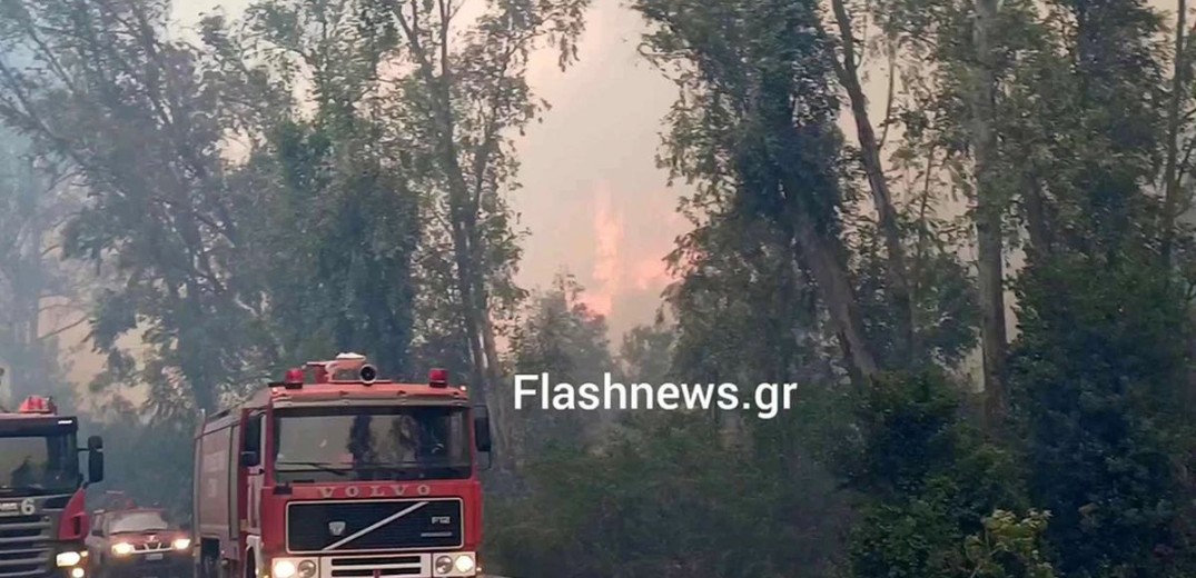 Χανιά: Μεγάλη φωτιά κοντά στον Ναύσταθμο της Σούδας - Μήνυμα από το 112 -  Ενισχύονται οι δυνάμεις πυρόσβεσης  (βίντεο)