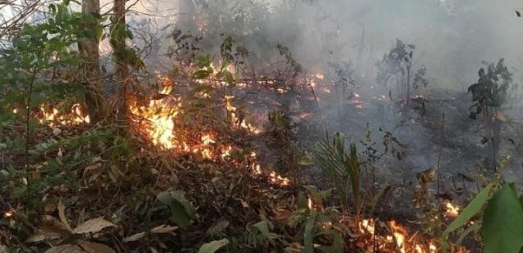 Βραζιλία: Καταστρέφεται ο Αμαζόνιος - Ο αριθμός των πυρκαγιών φέτος ξεπέρασε ήδη το σύνολο του 2021