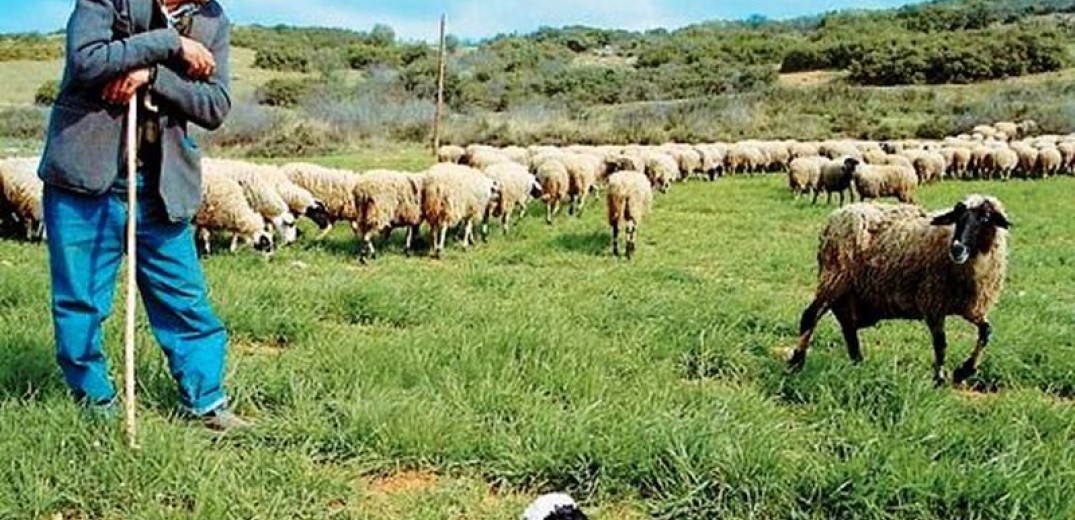Διορθώθηκε το λάθος στις ενισχύσεις των κτηνοτρόφων με το Μέτρο 22