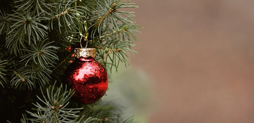Δήμος Χαλκηδόνος: Το πρόγραμμα φωταγώγησης των χριστουγεννιάτικων δέντρων σε όλες τις κοινότητες