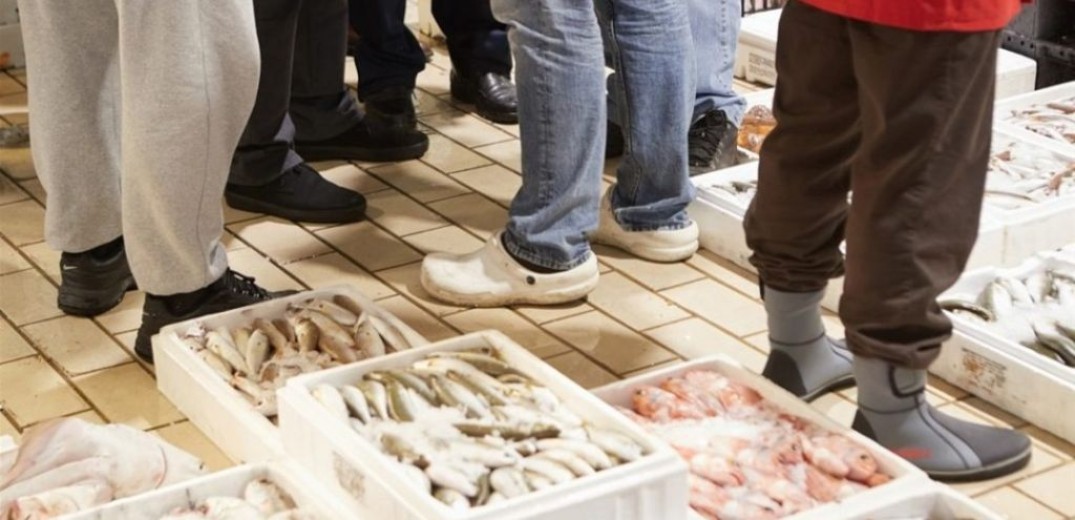 Πλημμύρες στη Θεσσαλία: Σε απόγνωση οι ψαράδες στη Θεσσαλονίκη - «Δεν αγοράζει ο κόσμος ψάρια»