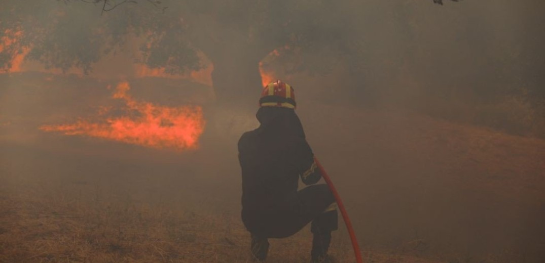 Ολονύχτια μάχη με τις φλόγες δίνουν οι πυροσβέστες στη Φθιώτιδα (βίντεο & φωτ.)