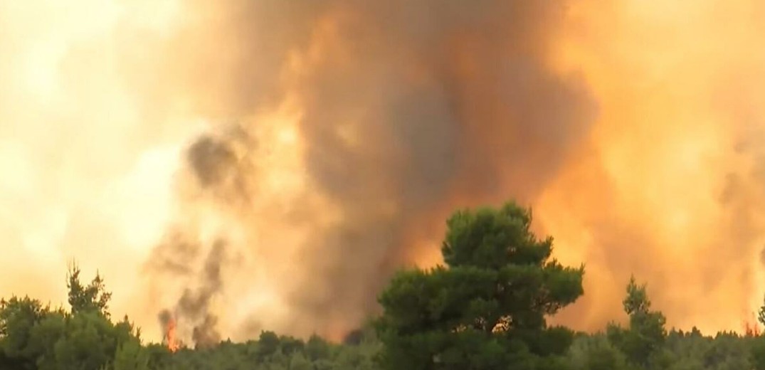 Πυρκαγιά σε δασική περιοχή του Κιλκίς  - ενισχύεται το μέτωπο (βίντεο)
